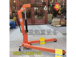 大理歐式單臂吊廠家批發,歐式單臂吊符合歐洲ce標準
